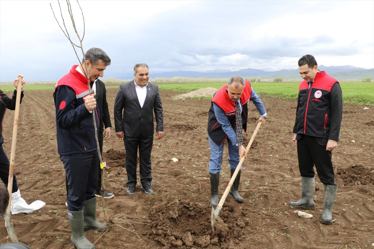 Ağrı\'da Çiftçilere Fidan Desteği