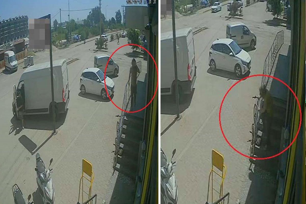 Antalya\'da yabancı uyruklu şahıs kedinin üzerine bastı, köpeği tekmeledi