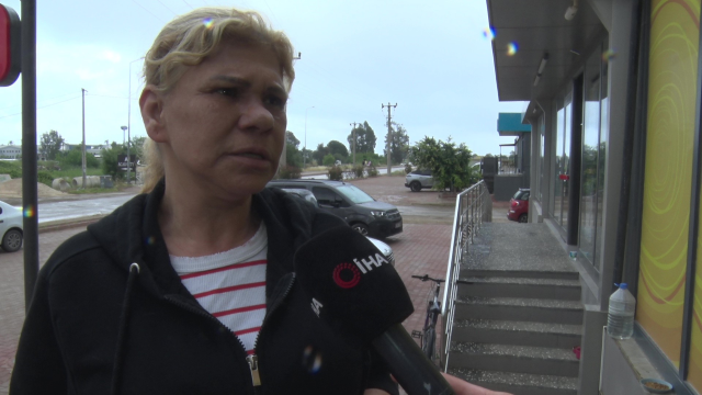 Antalya'da yabancı uyruklu şahıs kedinin üzerine bastı, köpeği tekmeledi