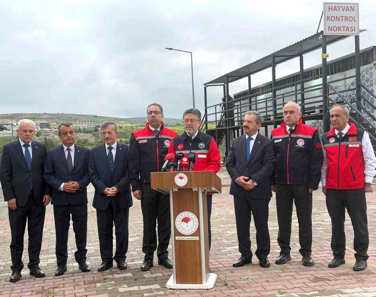 Kurbanlık Hayvan Sayıları Açıklandı