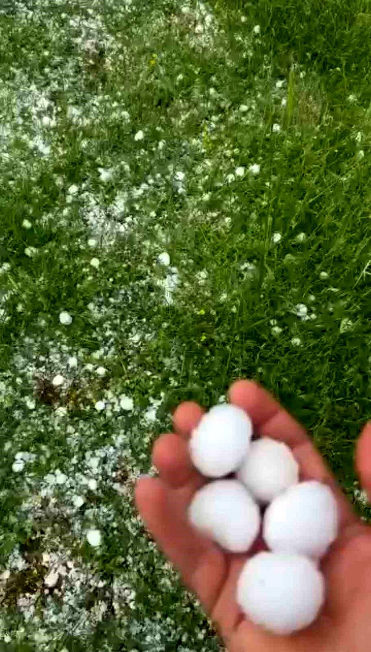 Kozluk\'ta Ceviz Büyüklüğünde Dolu Yağışı