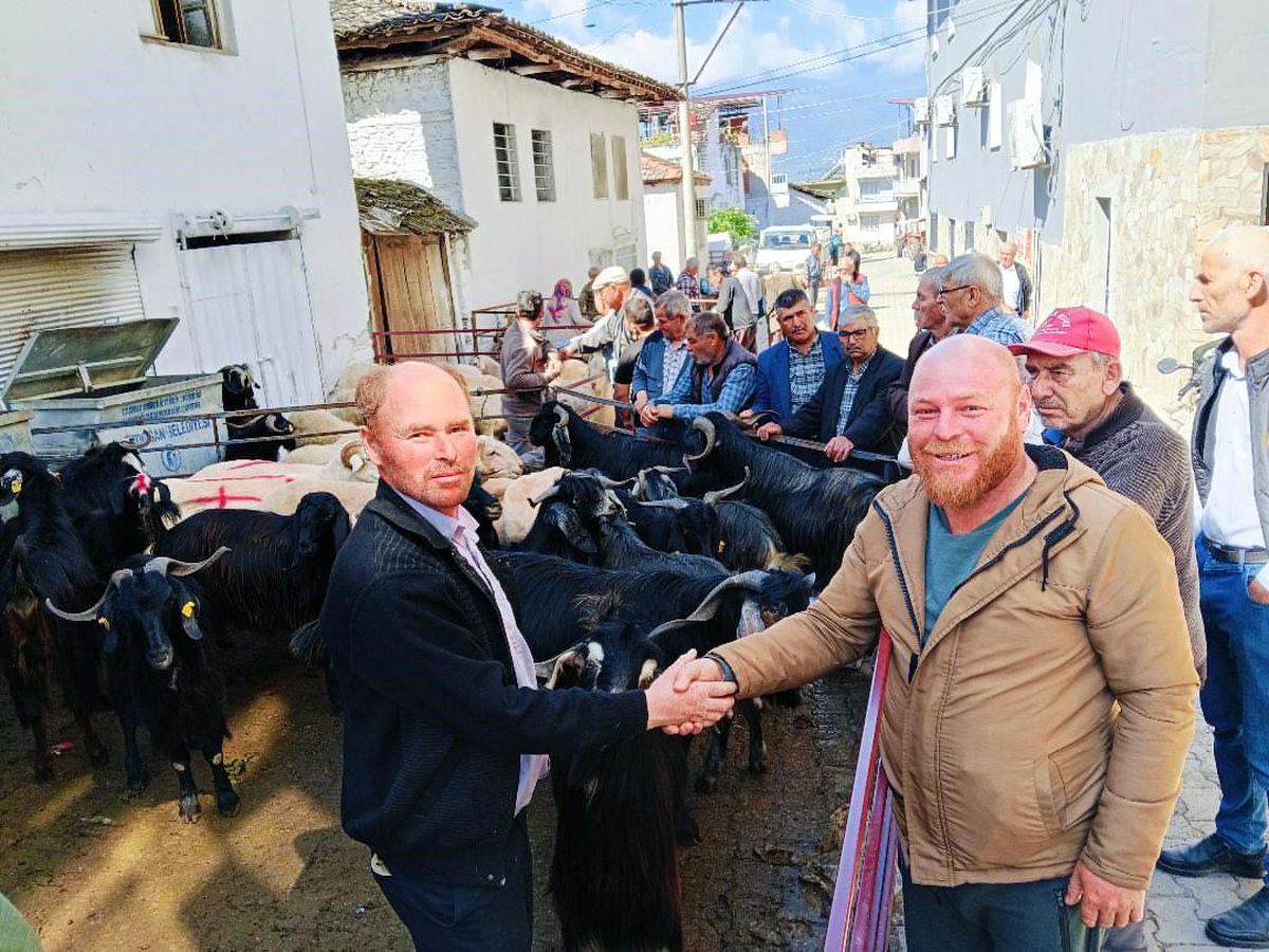 Yazıkent\'te Kurban Pazarı Hareketlendi