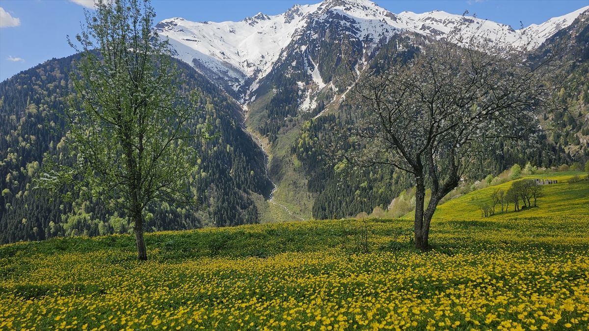 Kaçkar Dağları\'nda Bahar Manzarası