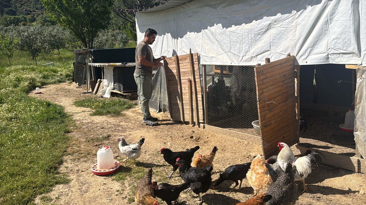 Kırsala Yerleşen Genç Hayvancılığa Geçti