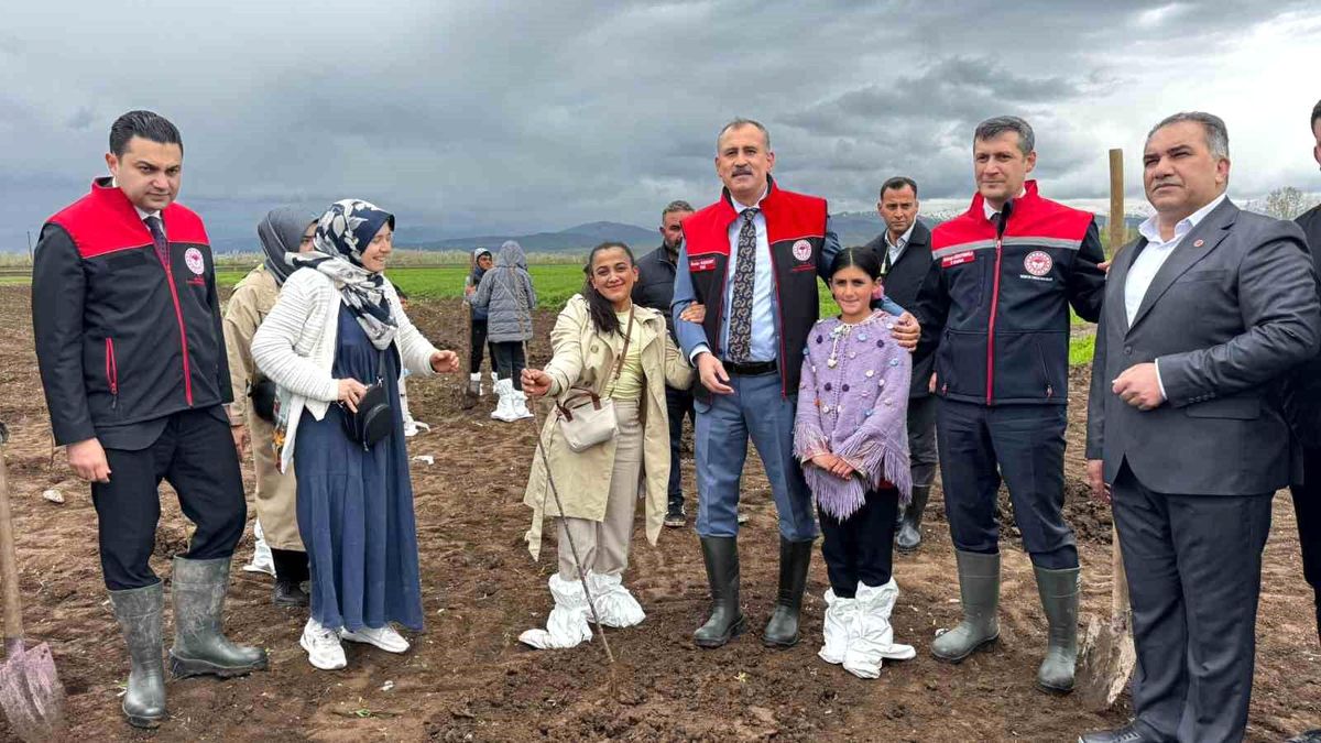 Ağrı\'da 2.500 Çiftçiye Meyve Fidanı Dağıtıldı