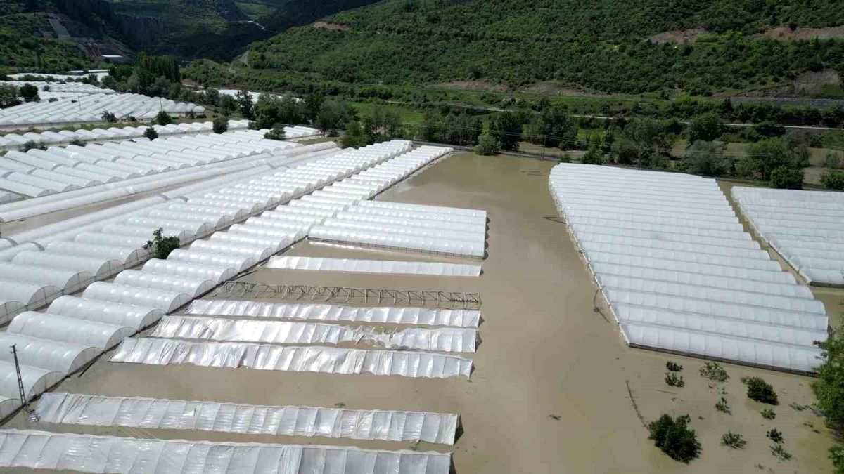 Amasya\'da Nehir Taşması Tarım Arazilerini Sular Altında Bıraktı
