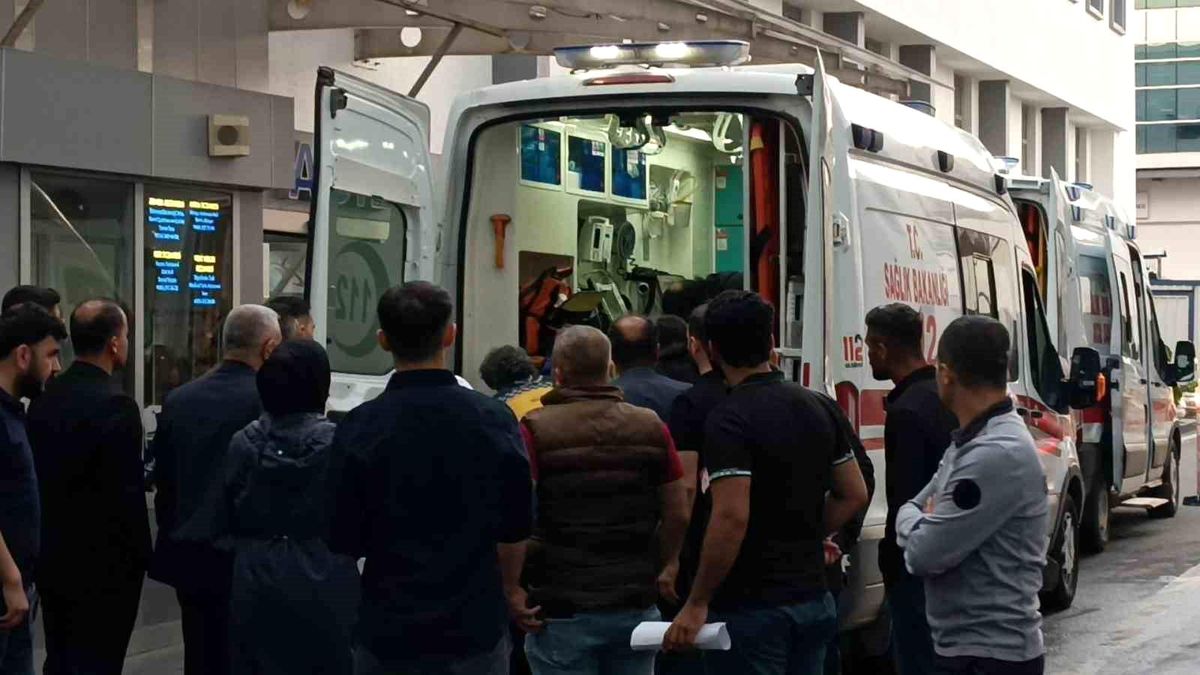Yıldırım Çobanı Vurdu, Hayatını Kaybetti