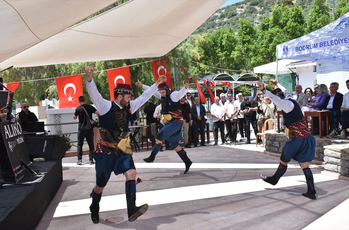 Bodrum\'da Zeytin Çiçeği Festivali