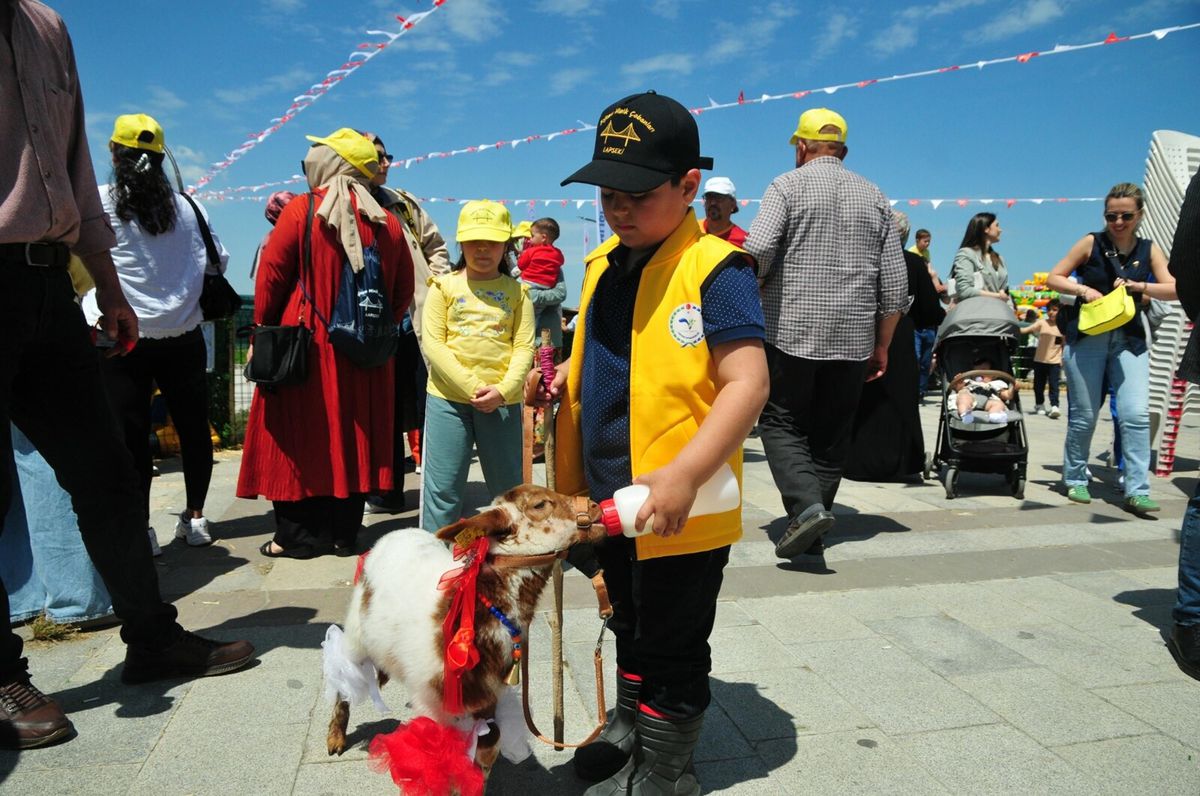 Boğazın Minik Çobanları Yarışması Başladı