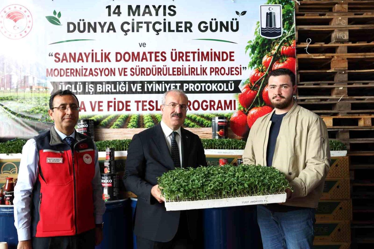 Çanakkale\'de 804 Bin Domates Fidesi Dağıtıldı