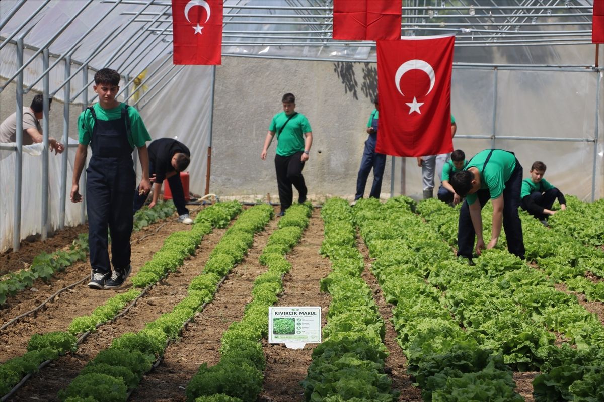 Keşan\'da Lisede Serada Hasat Yapıldı