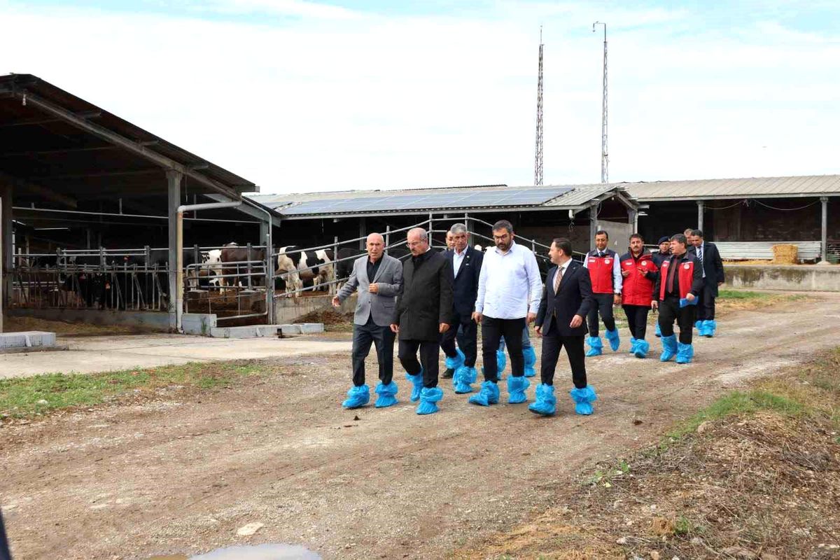 Vali Toraman\'dan Biga\'da Hayvancılık İncelemesi