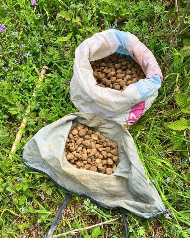 Dron'la tespit edildi, 700 bin lira ceza kesildi