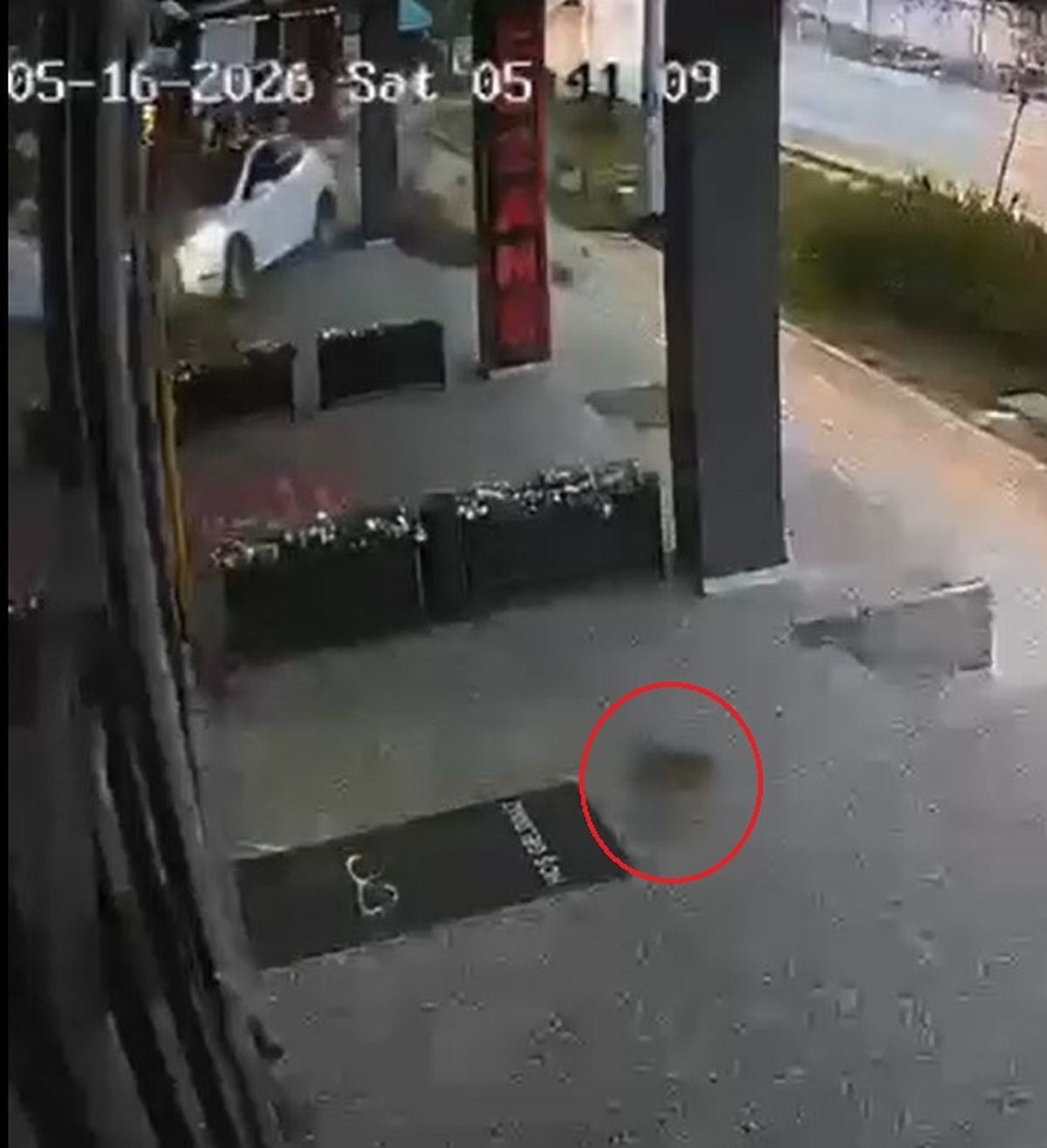 Bursa\'da Otomobil Kaldırıma Çarptı, Kedi Son Anda Kurtuldu