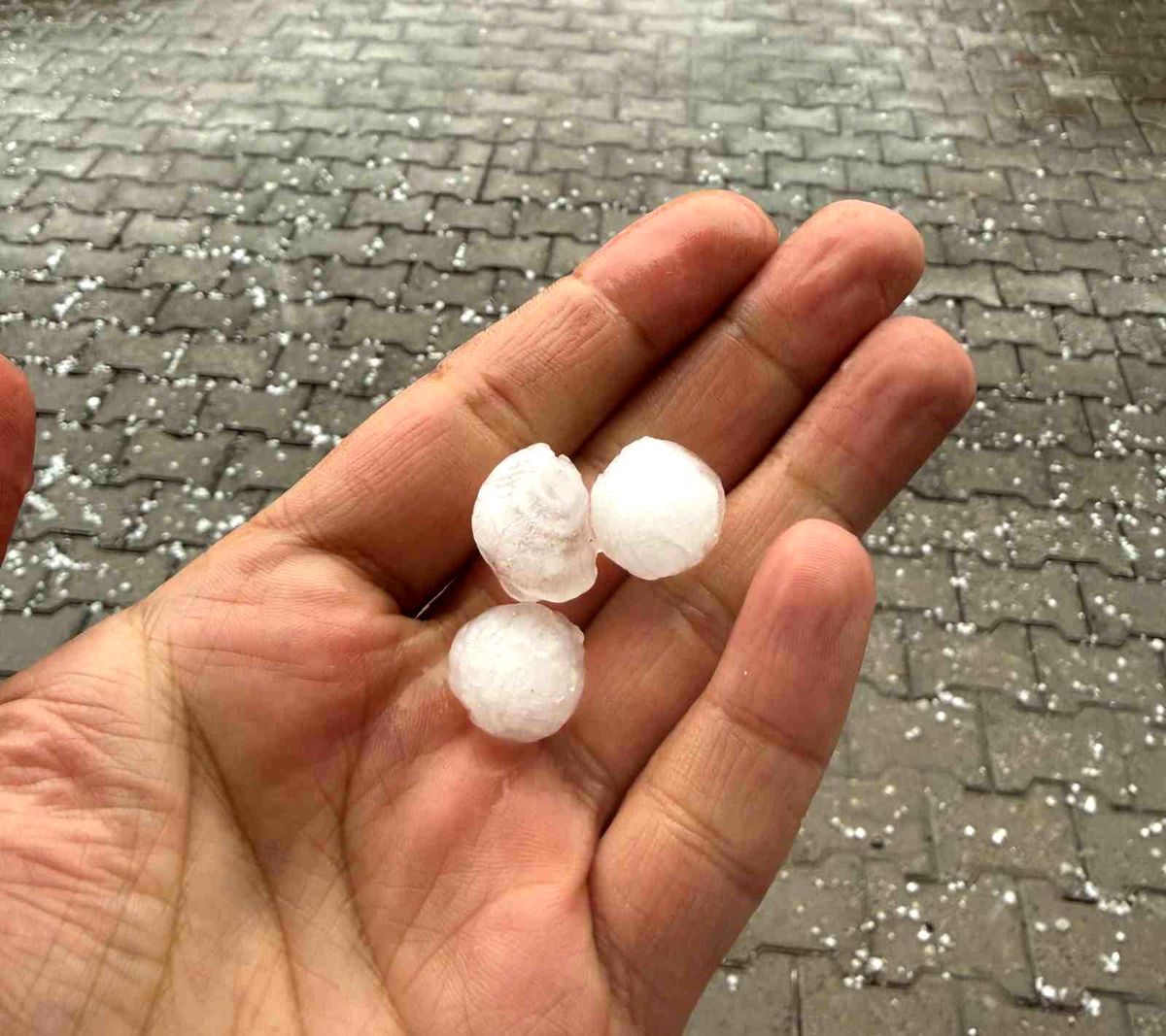 Bitlis\'te Dolu Yağışı Hayatı Olumsuz Etkiledi