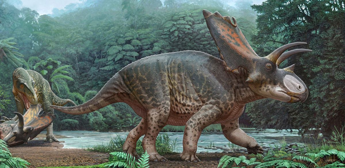 Tayland\'da Yeni Dinozor Türü Keşfedildi