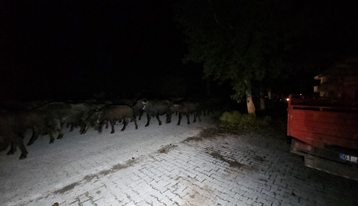 Kızılçubuk Köyü Taşkın Riski Nedeniyle Tahliye Edildi