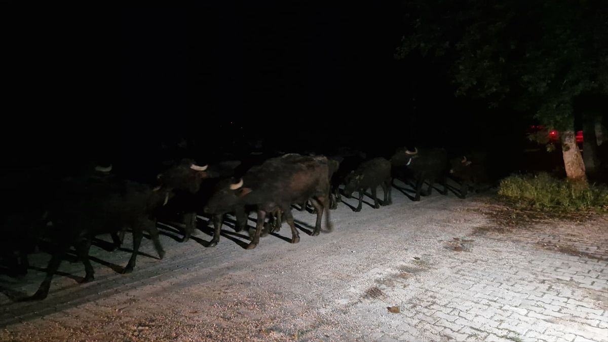Kızılçubuk Köyü Tahliye Ediliyor