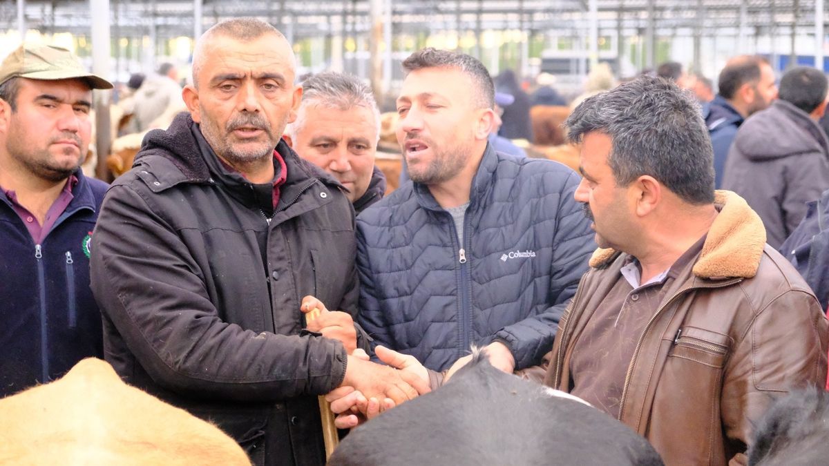 Şarkışla\'da Kurban Pazarı Yoğunluğu