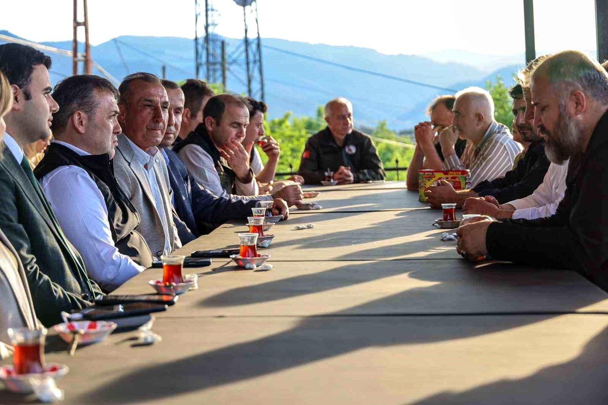 Bilecik Valisi Yangın Bölgesinde İnceleme Yaptı