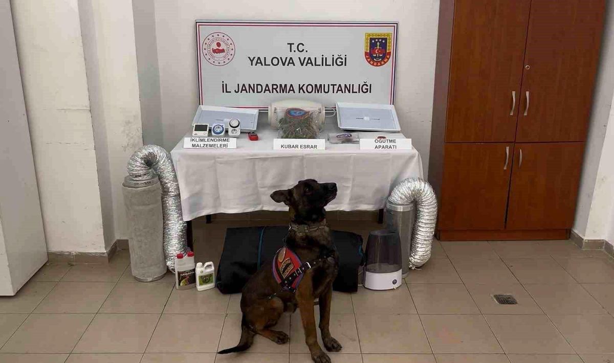 Yalova\'da Düzensiz Göç Operasyonu