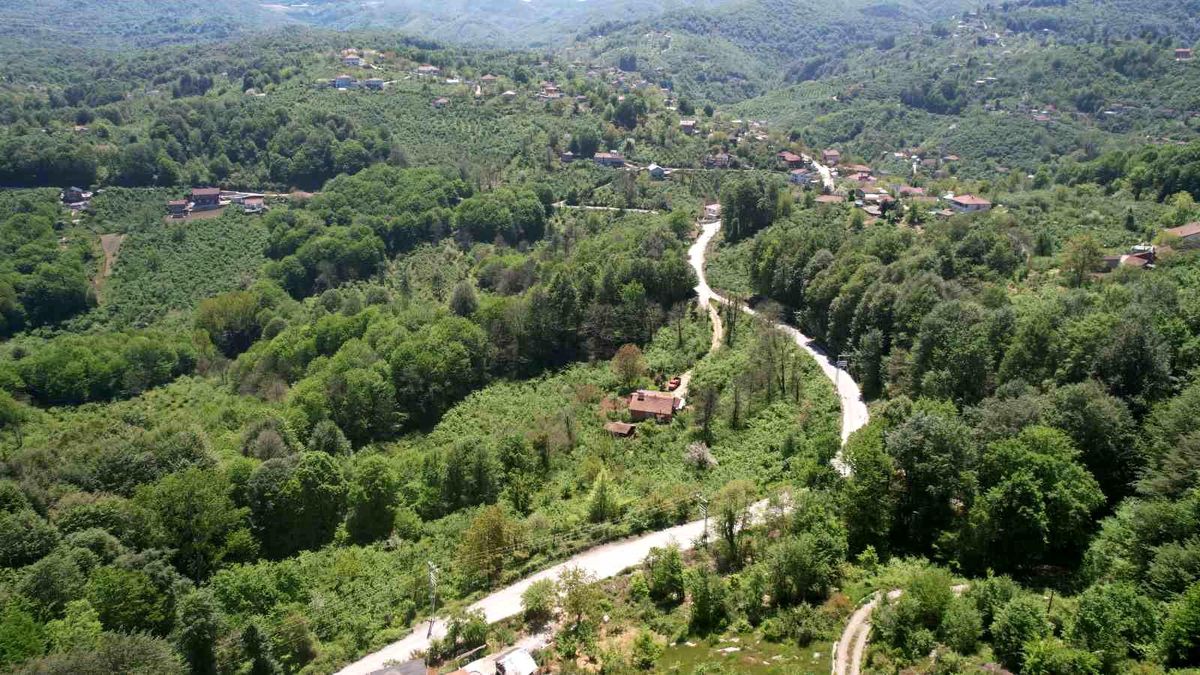 Zonguldak\'ta Bahar Manzaraları