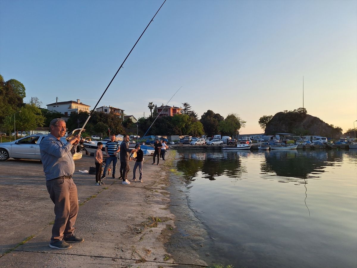 Alaplı\'da İstavrit Bolluğu