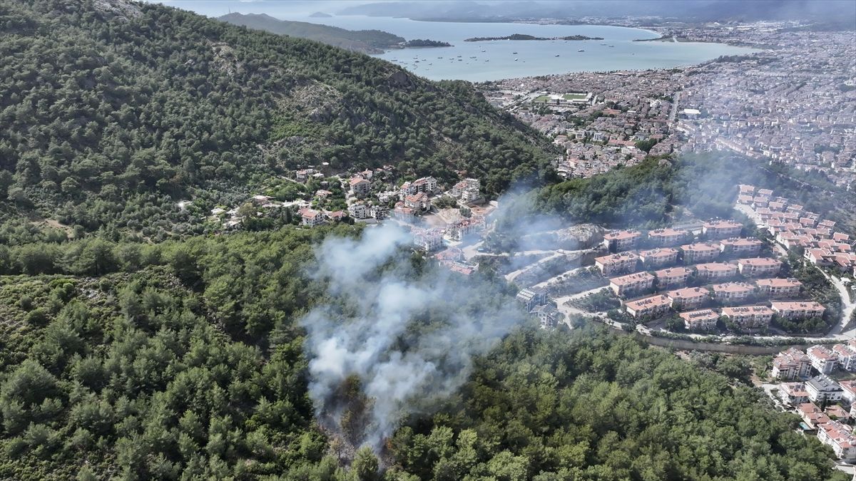 Fethiye\'de çıkan orman yangını korkuttu