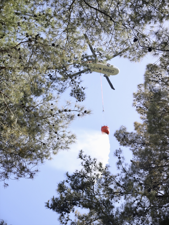Fethiye'de çıkan orman yangını korkuttu