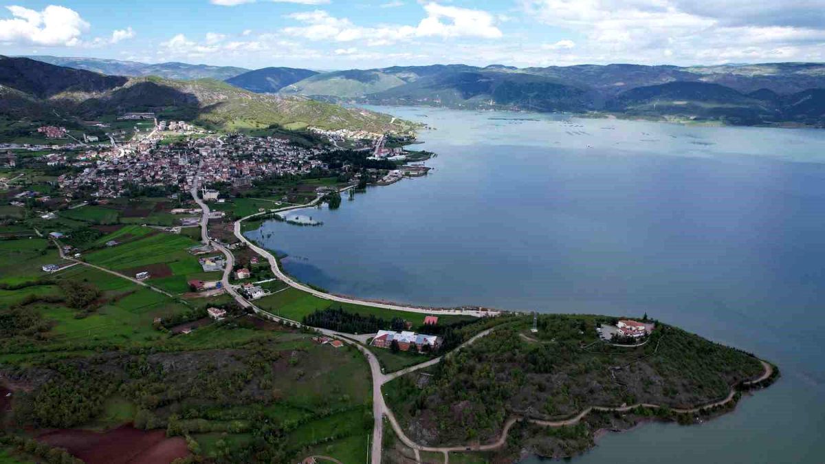 Almus Barajı\'ndaki ada, yağışlarla birlikte sular altında kaldı