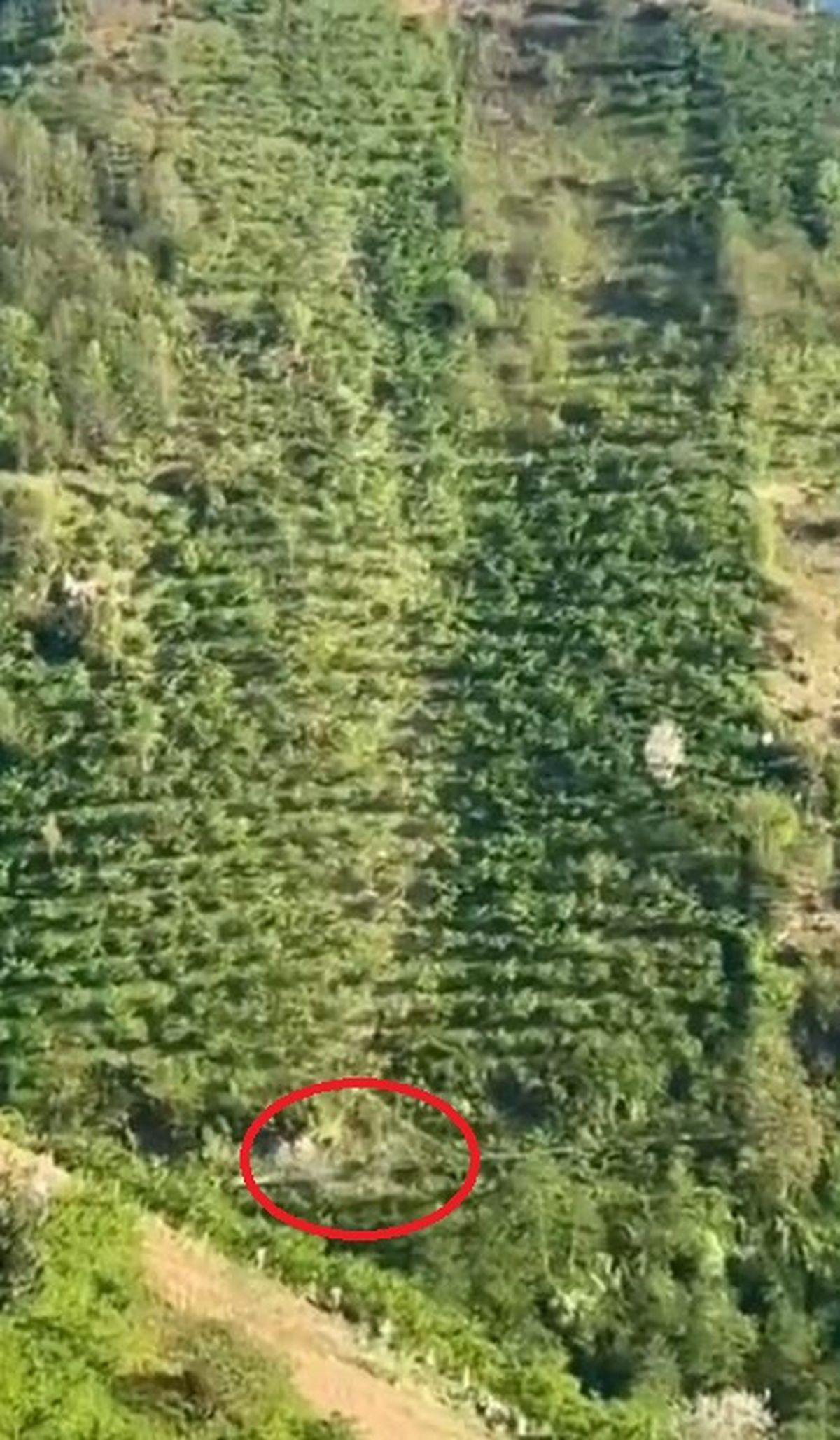 Giresun\'da Takla Atan Kamyonet Kazası