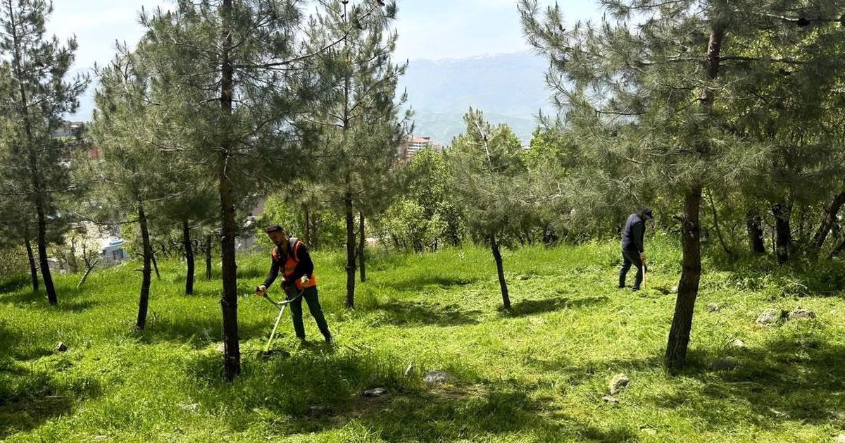 Şırnak\'ta mezarlık ve yeşil alanlarda temizlik çalışması
