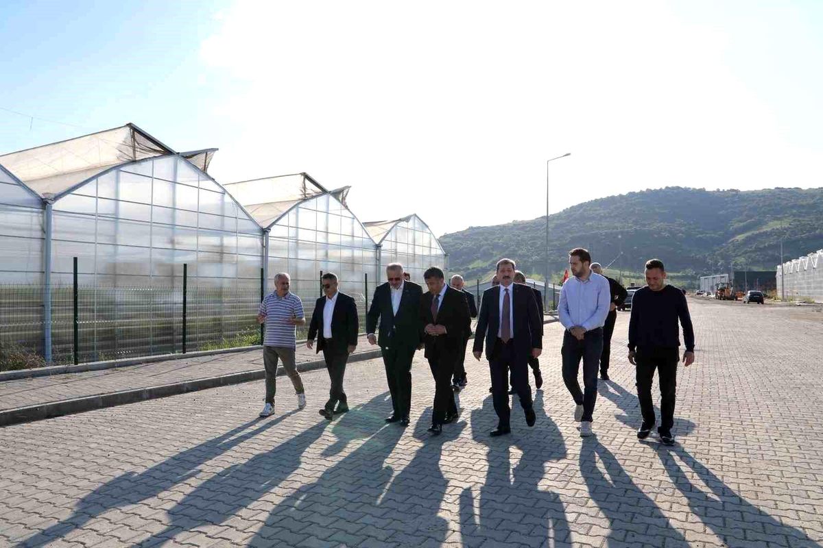 Bafra\'da üretim ve kamu yatırımları yerinde incelendi