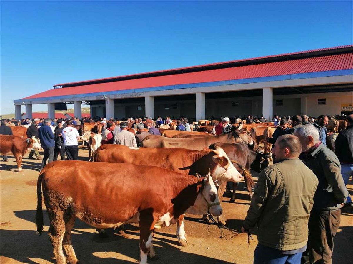 Bayburt\'ta Kurban Bayramı Hazırlıkları