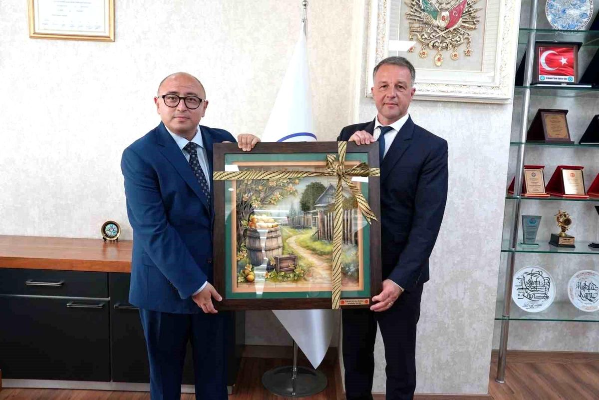 Erdemli ile Romanya\'nın Braila kenti kardeş şehir oldu
