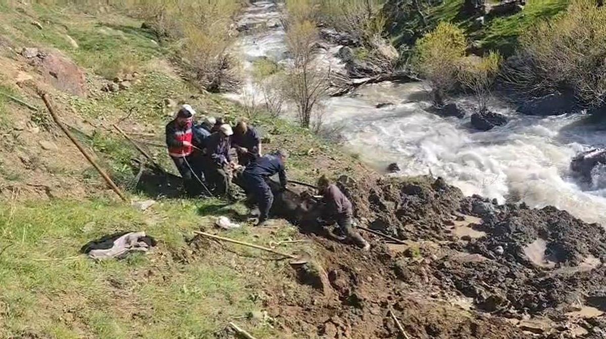 Hakkari\'de bataklığa saplanan inek kurtarıldı