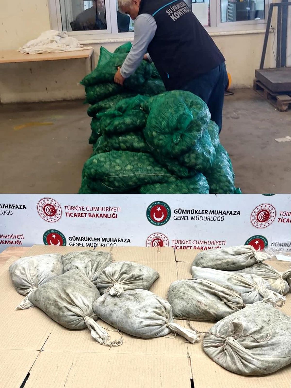 Edirne\'de 760 Kilogram Kaçak Midye Ele Geçirildi