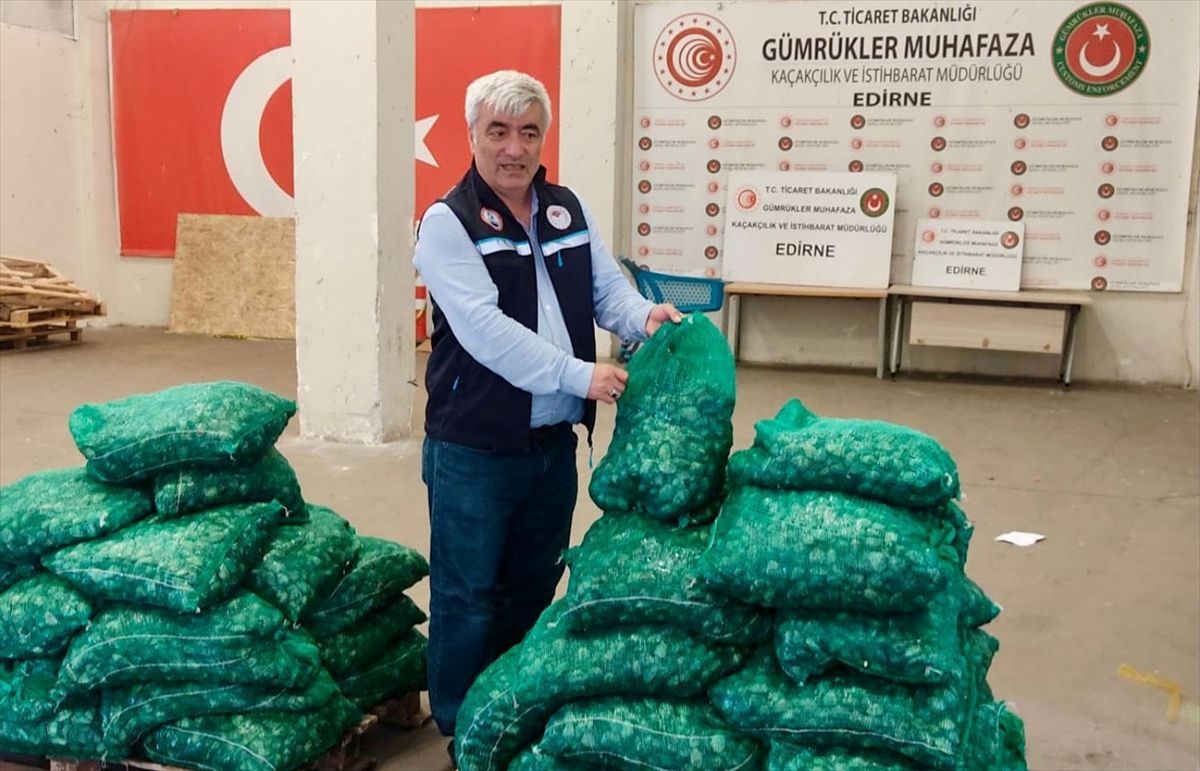 Edirne\'de 760 kg Kum Midyesi Ele Geçirildi