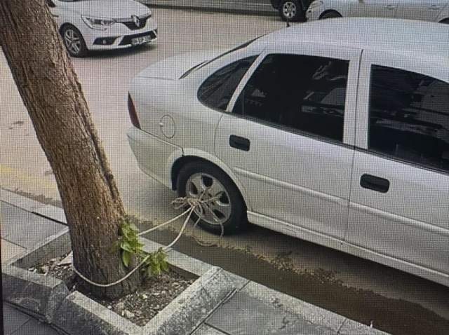 Tokat sele hazırlanıyor! 15 bin kişi tahliye edildi, vatandaşlar arabalarını ağaca bağladı