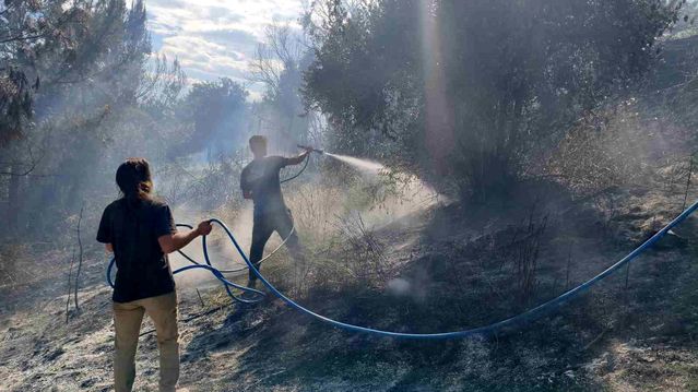 Antalya'da ormanlık alanda yangın