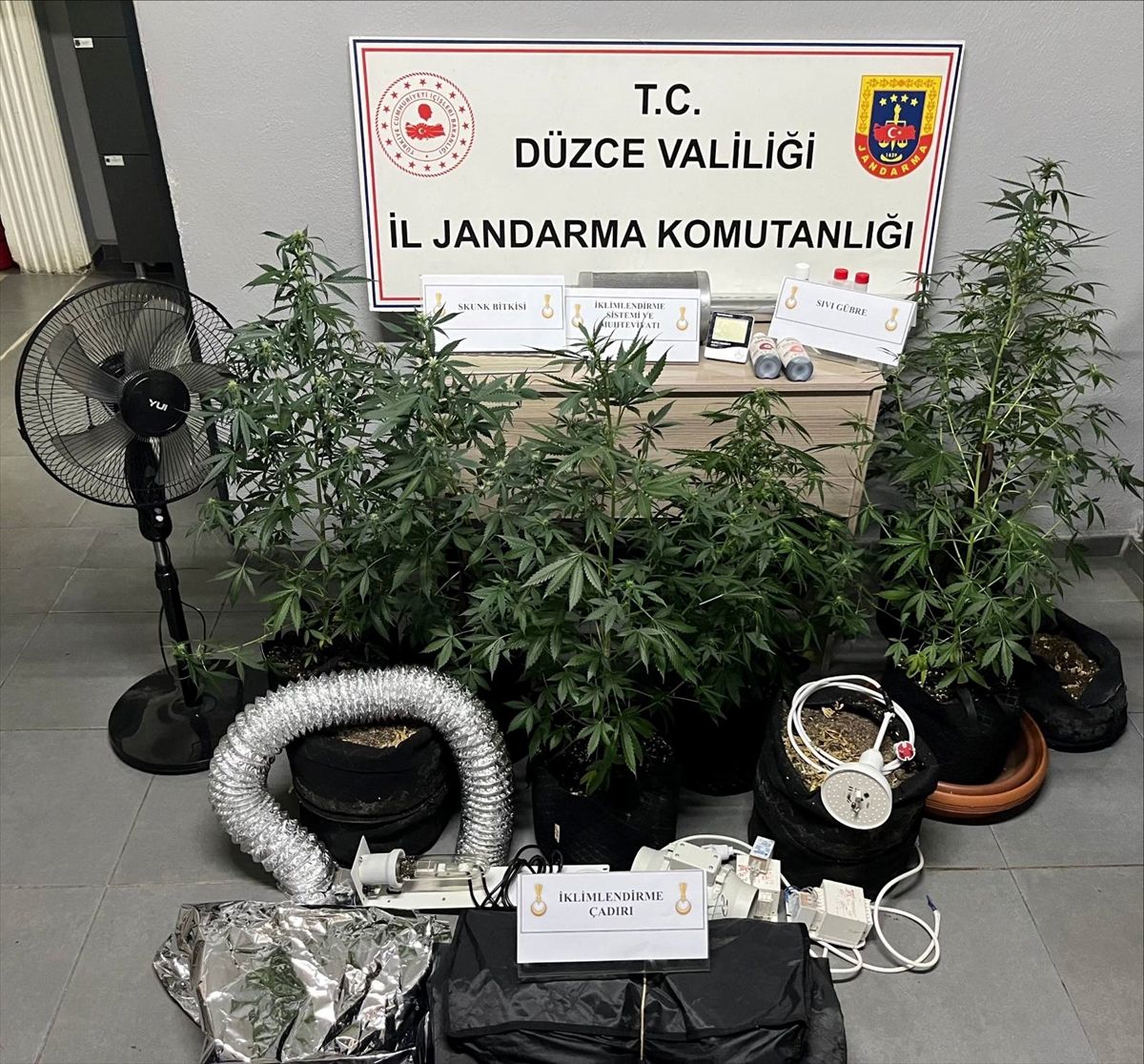Düzce\'de Uyuşturucu Yetiştiren Şüpheli Gözaltında