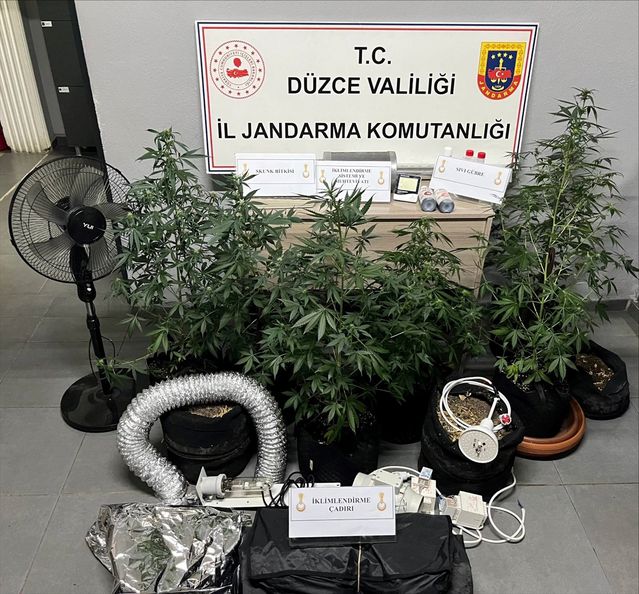 Düzce'de Uyuşturucu Yetiştiren Şüpheli Gözaltında