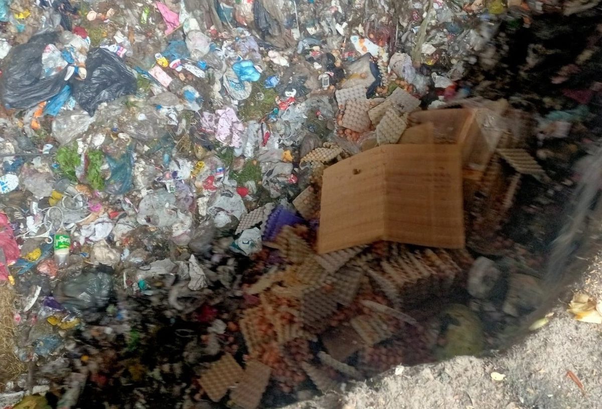 Sakarya\'da 42 Bin Sahte Yumurtaya El Konuldu