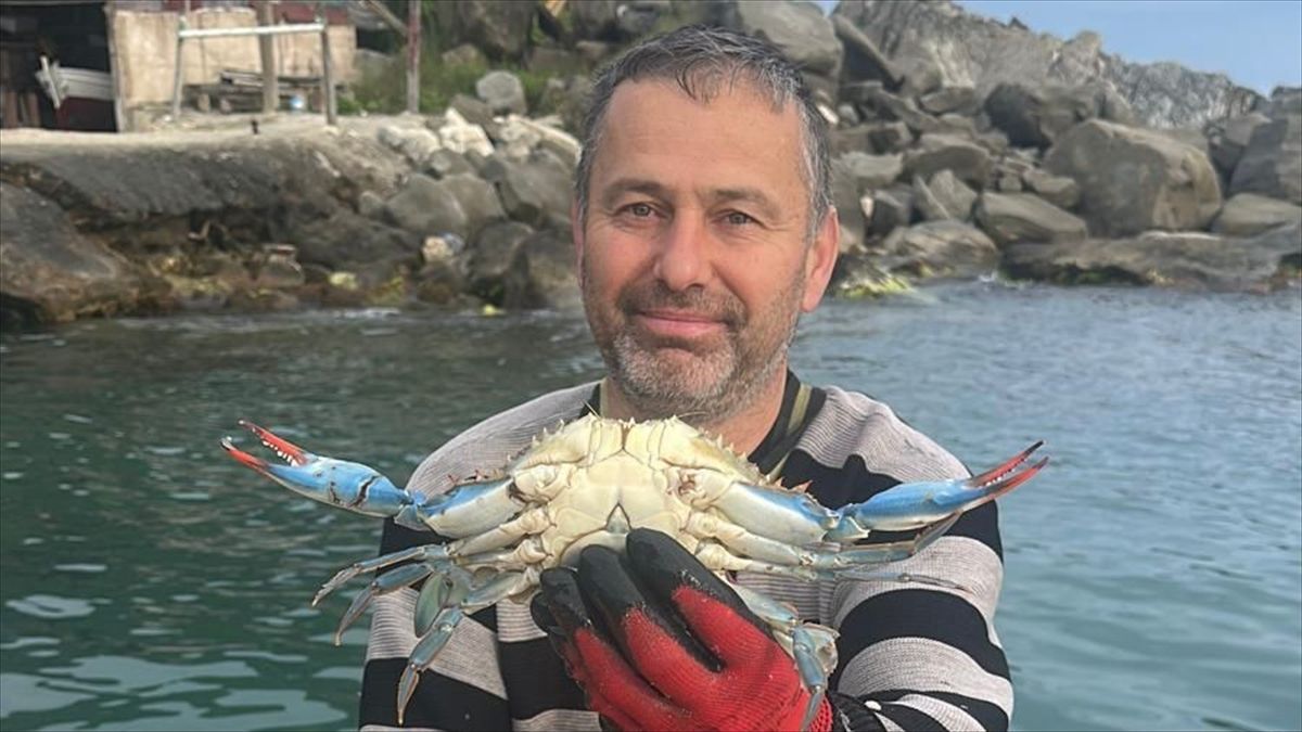 Karadeniz\'de Nadir Görülen Mavi Yengeç