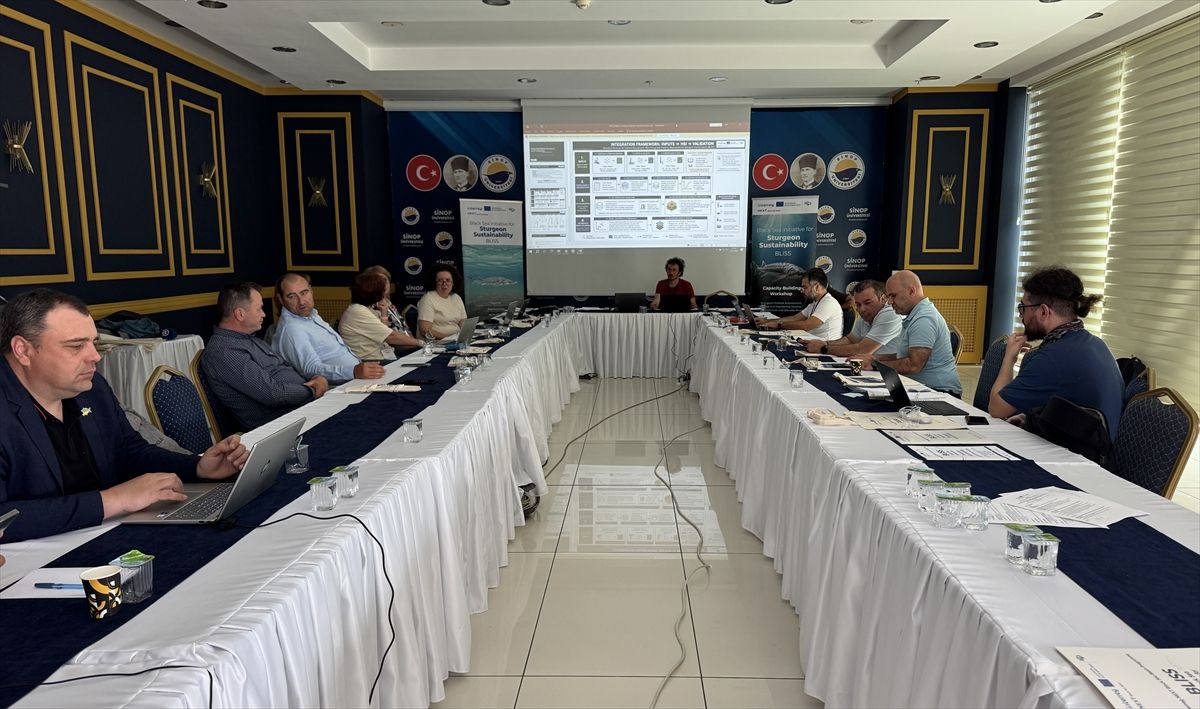Mersin Balıkları İçin Çalıştay