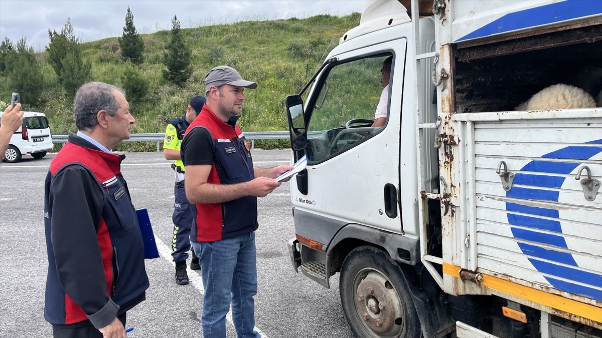 Kurban Bayramı Öncesi Hayvan Denetimleri