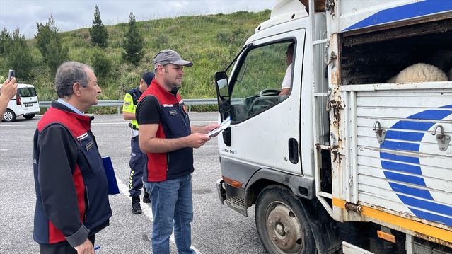 Kurban Bayramı Öncesi Hayvan Denetimleri