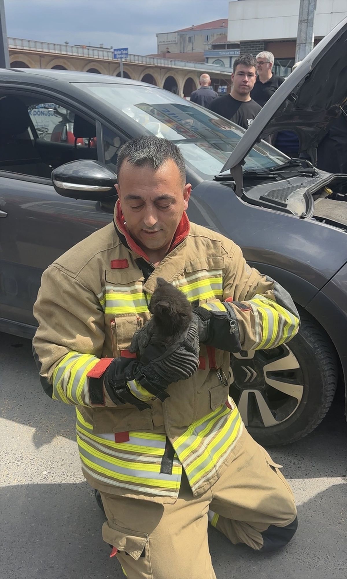 Düzce\'de Kedi Yavrusu İtfaiye Tarafından Kurtarıldı