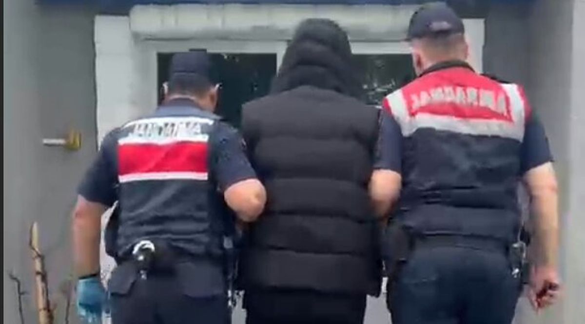 Düzce\'de Kenevir Yetiştiren Şüpheli Yakalandı