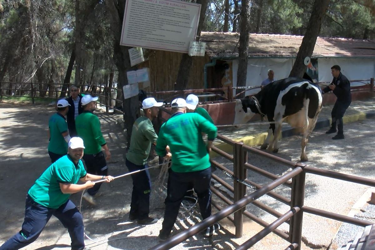 Gaziantep\'te Kurban Yakalama Timi Kuruldu